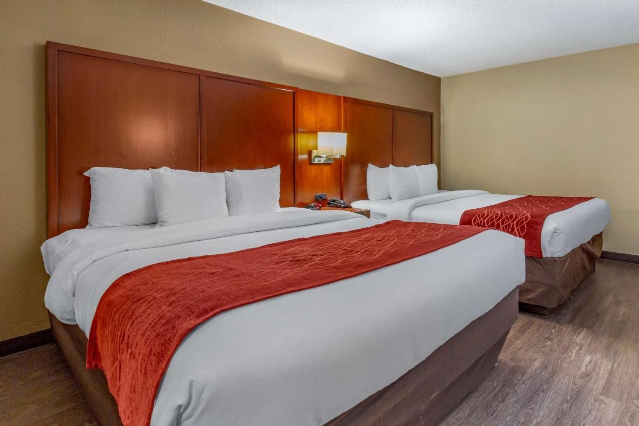 Comfort Inn Fort Mill Amusement Park At Carowinds Blvd Bagian luar foto